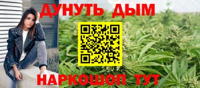 mdma Гатчина