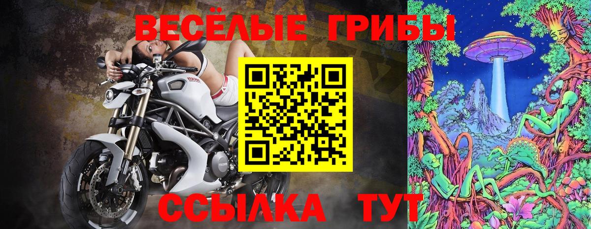 Галлюциногенные грибы прущие грибы Менделеевск
