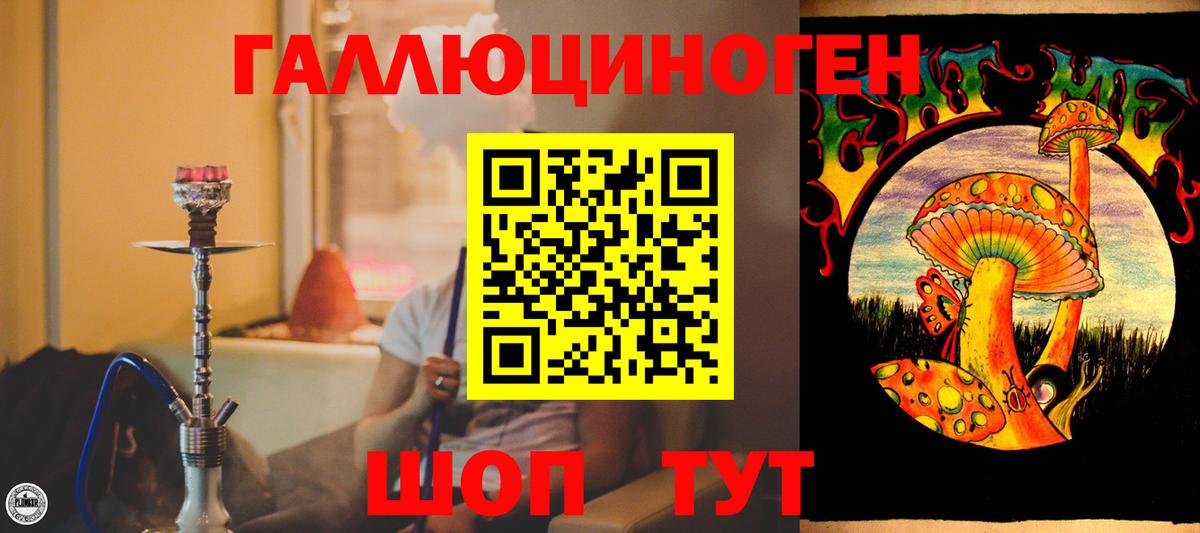 купить   Галлюциногенные грибы прущие грибы  Вход с VPN  Менделеевск 